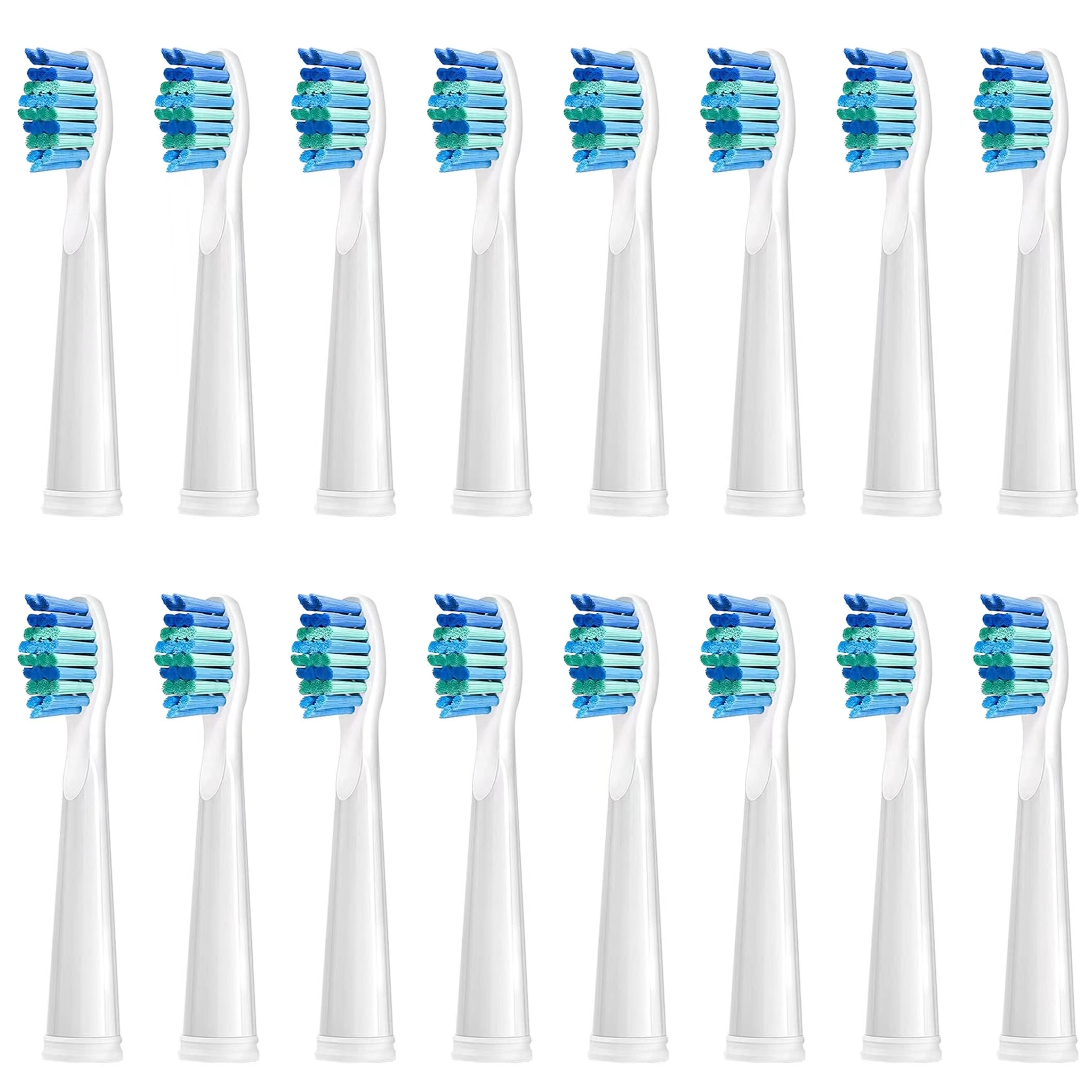 Têtes de rechange pour brosse à dents électrique, compatibles avec SEAGO SG910/507/958/515/949/575/551,4/8/16 pièces: Argent