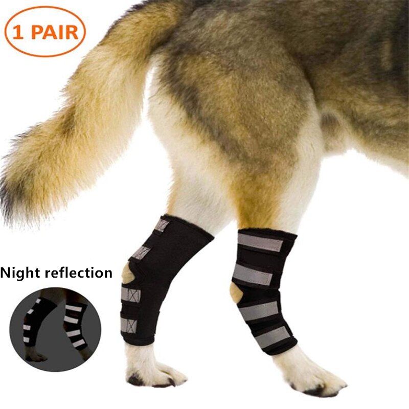 2 pz/lotto ginocchiere per animali domestici copertura supporto per cani tutore per gamba garretto avvolgimento articolare lesioni traspiranti recuperare le gambe protezione del canna supporto