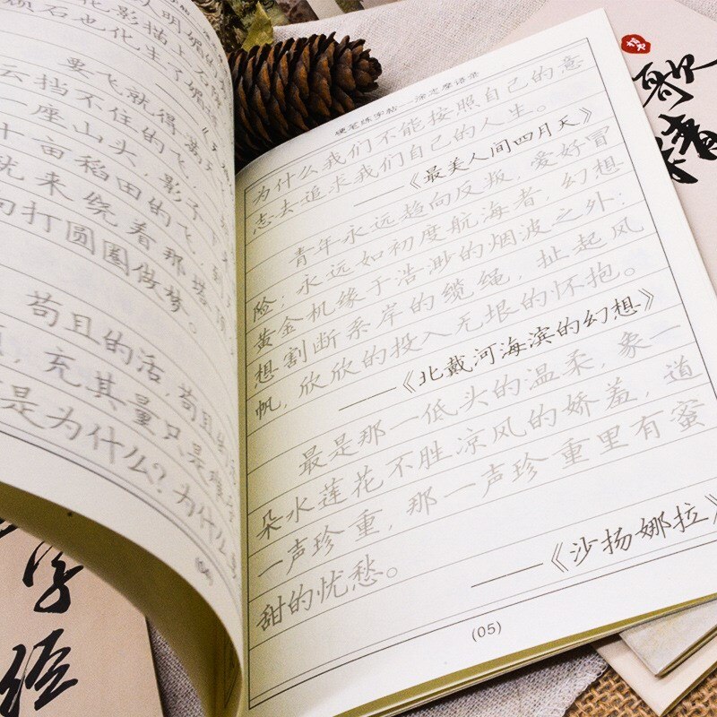 Chinese Calligraphy Practice for Beginners Practice Calligraphy Small Regular Script Handwriting Hard Pen Calligraphy
