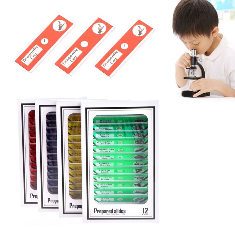 51BD 48 Pcs Prepared Microscope Slides Specimen Animals Insects Plants Flowers Sample