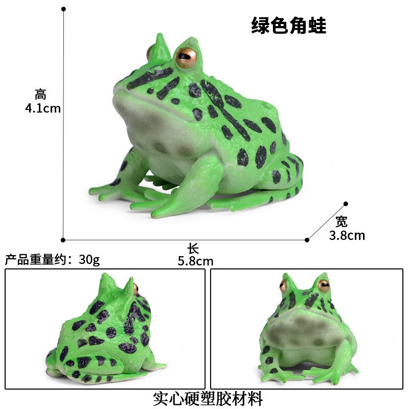 Simulatie Amfibie Dieren Kikker Levensduur Stadia Actiefiguren Kikkervisje Bullfrog Toad Model Collection Educatief Speelgoed: M-1426