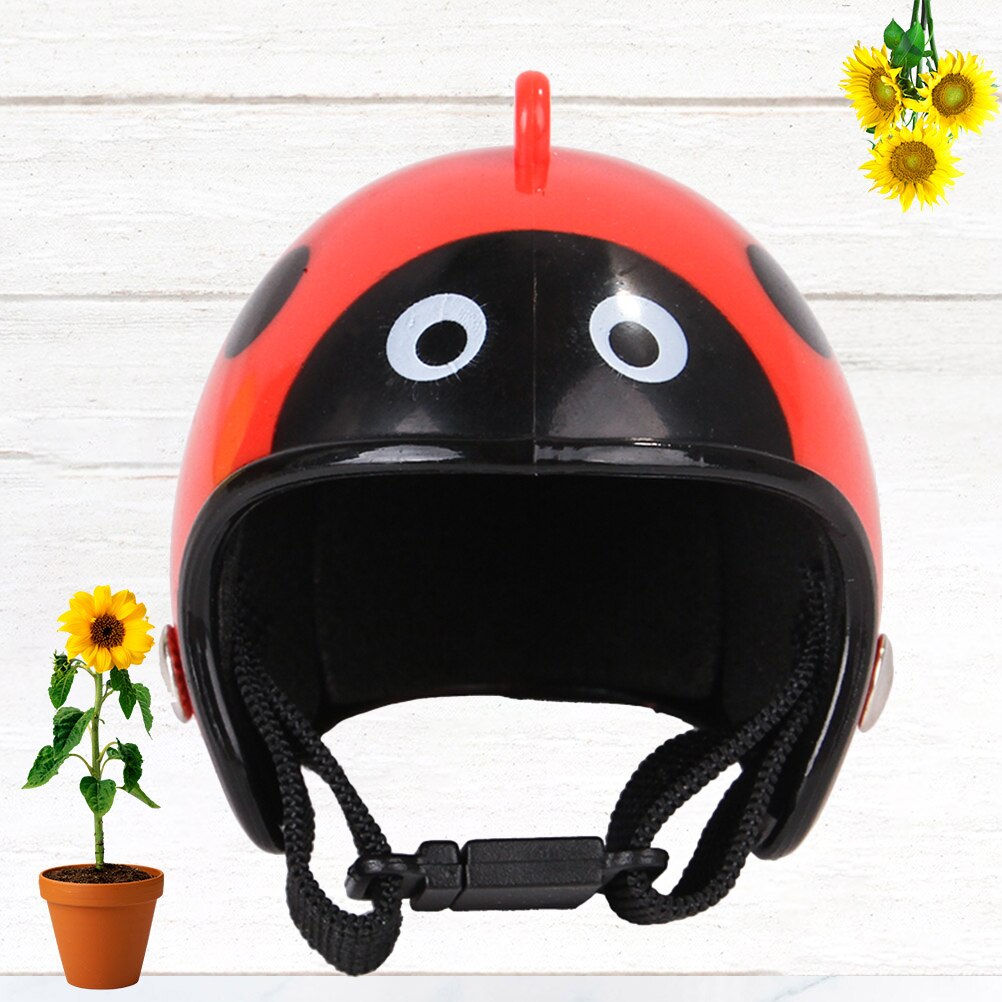 1pc casco per pollo PP accessori divertenti caschi protezione equipaggiamento protettivo per galline per uccelli pulcino per animali domestici