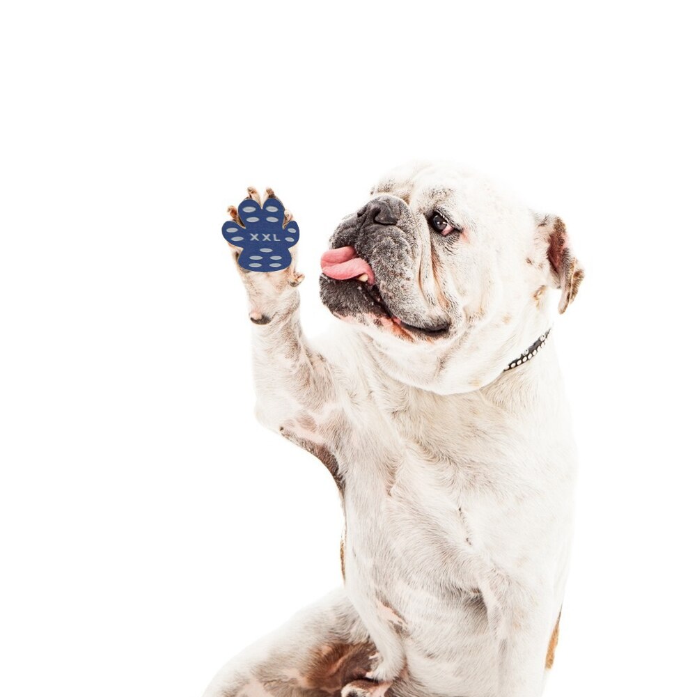 Self Adhesive Dog Paw Stickers Prevent Scratches Thickened Foot Patch Shoes Pads Bottom Anti Slip Dustproof 4pcs