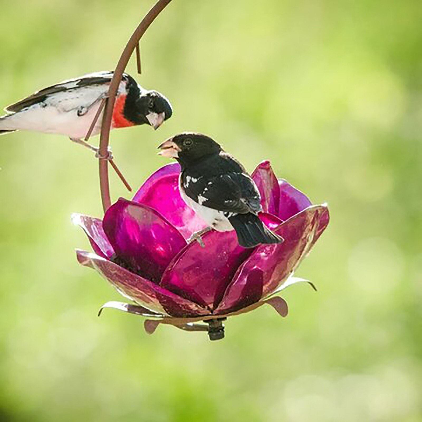 Flower-style hummingbird bird feeder flower hanging food and water source hummingbird feeder outdoor: Default Title