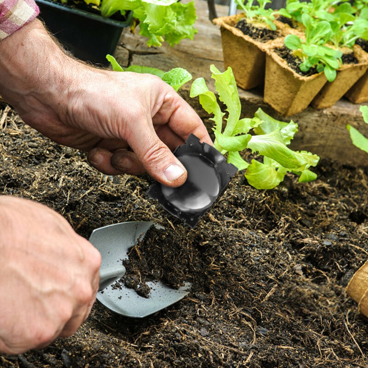 10 stk hage høyt trykk gren plante poding roting avl kule plast slitesterk og gjenbrukbar