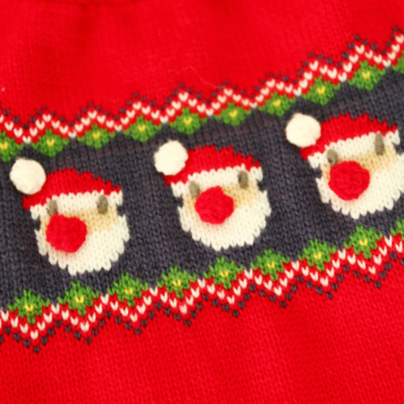 Déguisement de noël pour petits chiens | Vêtements en tissu, avec motif de dessin animé, pour animaux domestiques, chiens, 1 pièce