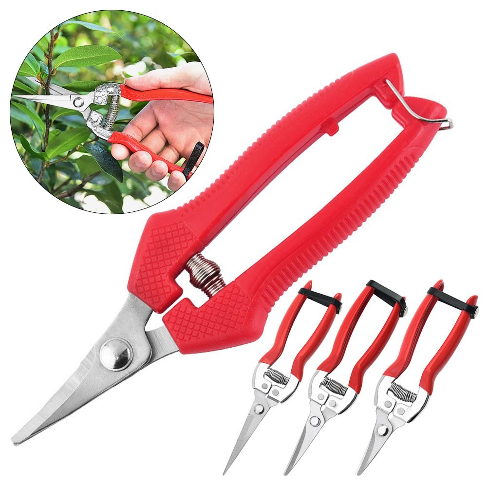 Tijeras para floristería, herramienta para podar árboles, podadora manual de jardinería, tijeras de jardín, recortadora de hojas, tijeras de podar rectas con micropunta, 1 Uds.