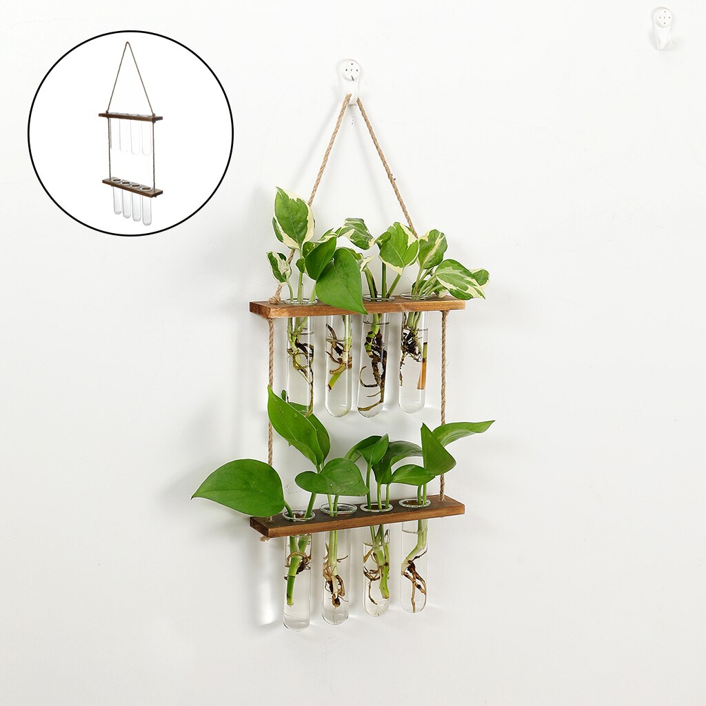 Terrario colgante de pared, plantador de flores, propagador para cortar, decoración de jardín
