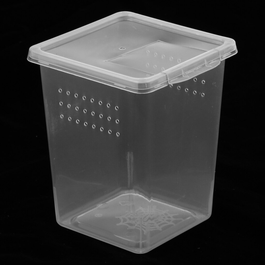 Clear Plastic Insect Spider Habitat Feeding Hatching Box Container 8x8x11cm