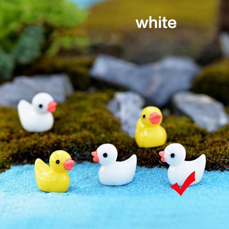 Zwaan Paard Eend Dolfijn Mini Hars Tuin Beeldjes Microlandschaft Instelling Miniaturen 5 Stks/set Diy Kip Kawaii: 5PCS White Chicken