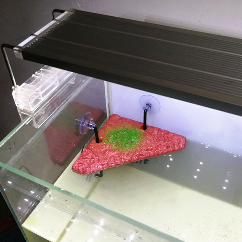 Turtle Platform Floating Turtle Pier Rectangular Styrofoam Aquarium Float Decor Bask Terrace Climb Brazilian Tortoise In stock