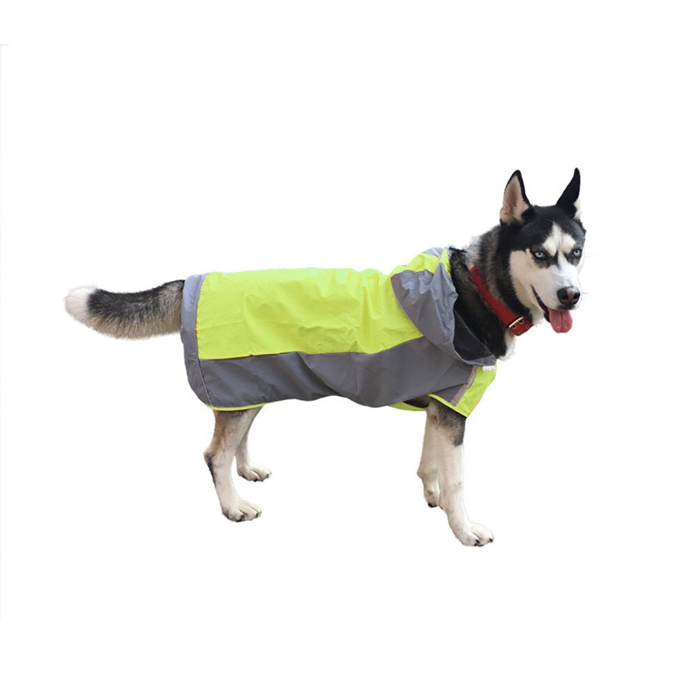 Impermeable para perro mascota perros de compañía, impermeable, impermeable, reflectante, con capucha, Poncho, chaqueta de lluvia, abrigo para exteriores, ropa para perros abrigo: Verde / 12