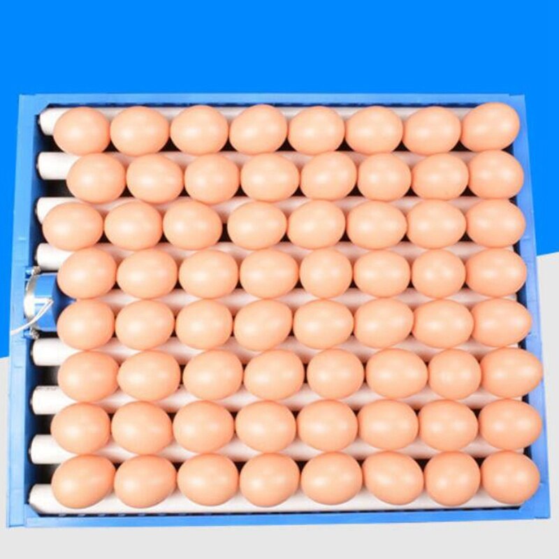 Juego de XD-1 de 360 grados volteador de huevos de pollo incubadora automática de huevos de avestruz de pato bandeja de huevos de aves de corral suministros de incubación