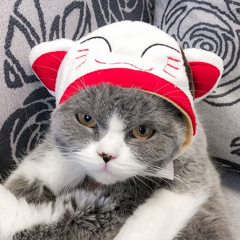 Grappige Kleding Voor Katten Leeuw Manen Kat Kostuum Leeuw Haar Pruik Cap Hond Kostuums Voor Kleine Honden Kerst Pet Halloween kostuums: Lucky cat headgear