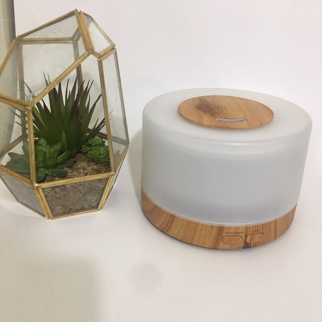 700 MUJI-style Aroma Diffuser