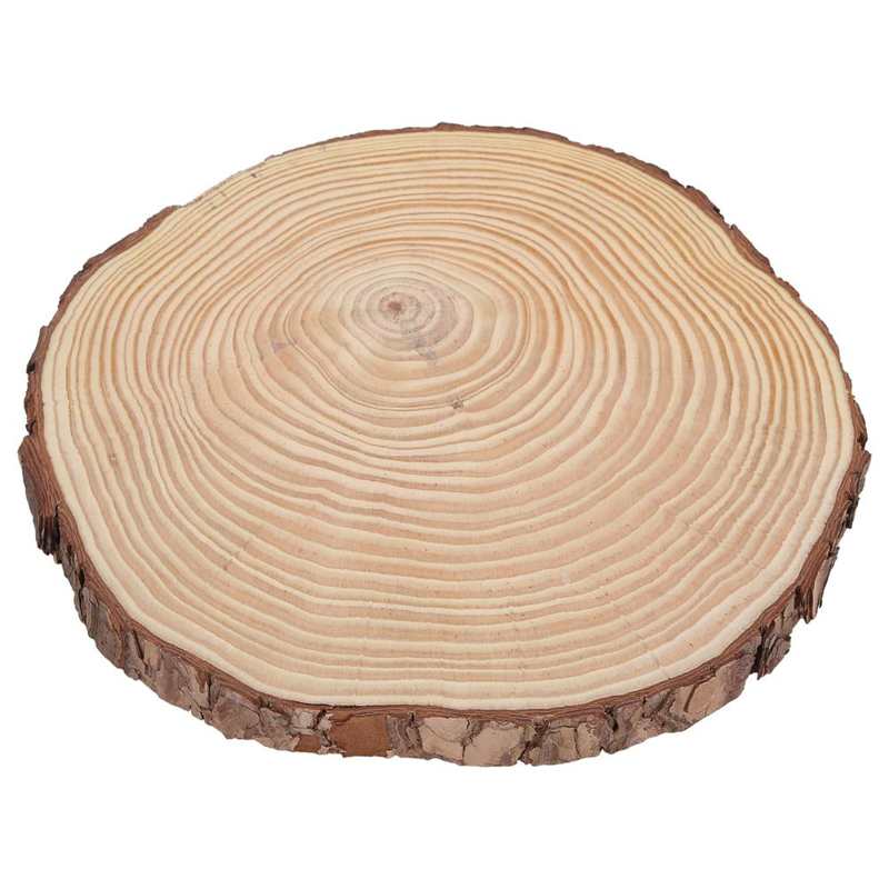 Bois Tranches Tranches De Bois Naturel Inachevé Cercles de Bois Ornements Irréguliers Tranches De Bois avec Écorce Tranches De Bois Naturel: 22.5 x 23