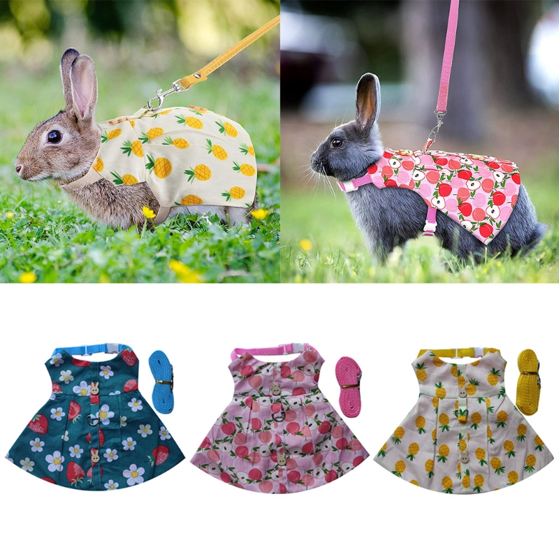 G5AB Bunny Rabbit Harness and Leash Rabbit Clothes... – Grandado