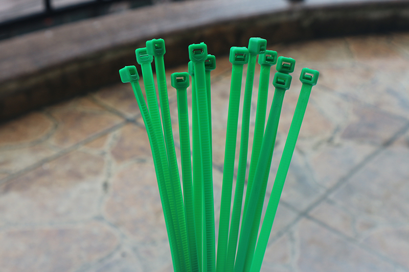 green color Self-locking plastic nylon tie cable t... – Vicedeal