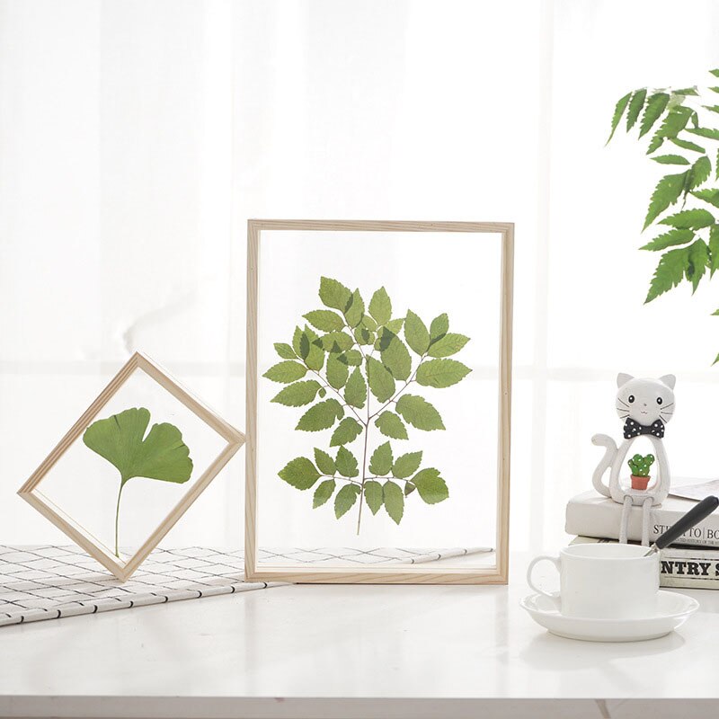 Wooden Double-sided Glass Plant Specimen Photo Frame Log Color Photo Frame Transparent Wooden Photo Frame
