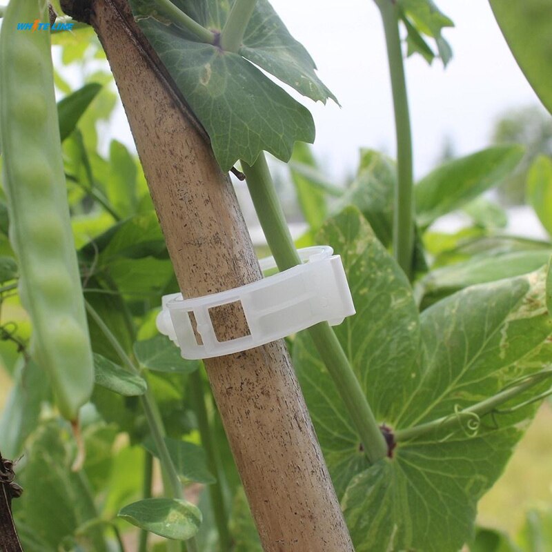 Plastic Plant Support Clips 30/50Pcs Vine Trellis Tomato Stem Vegetable Fixing Clip Garden Greenhouse Accessory Plant Clips