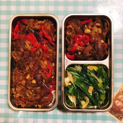 220v Electric Heating Box Portable Multi Cooker 1.2L Mini Electric Rice Cooker 2 Layers