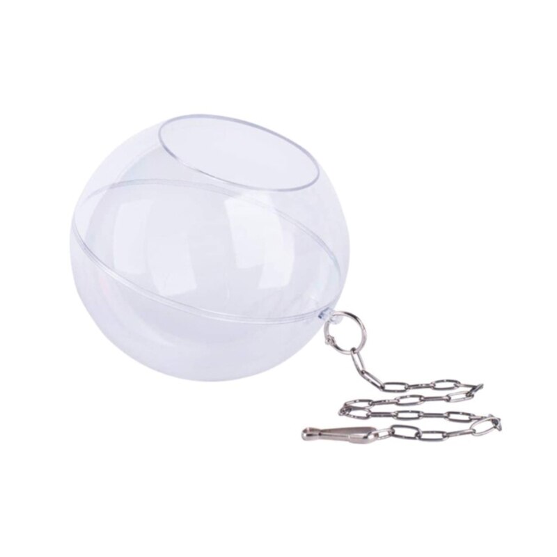 Bird Hanging Feeder Chicken Hen Pet Foraging Food Holder Veggies Fruit Dispenser: 8cm