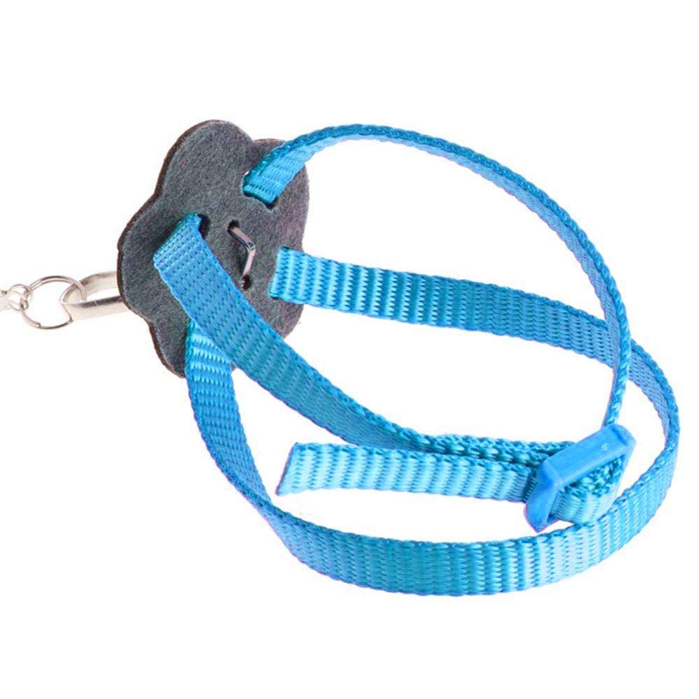 Arnés y correa para pájaros y mascotas, cuerda ajustable de vuelo para pájaros, cuello de llamada, loro, grises africanos, periquitos, periquitos y juegos