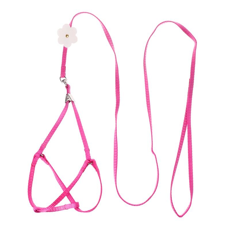 7 Colors Adjustable Bird Training Leash Portable Small Pets Walking Lead Rope Ultralight Flying Harness For Parrot Cat: Pink