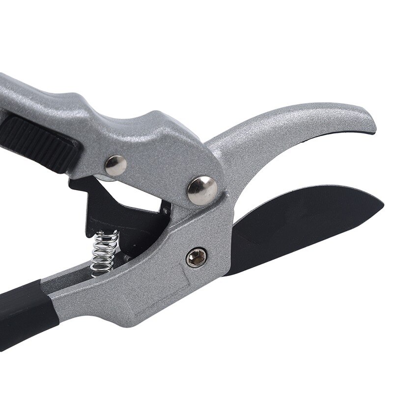 Felco assortiment: snoeischaren, zagen, takkenscharen & meer