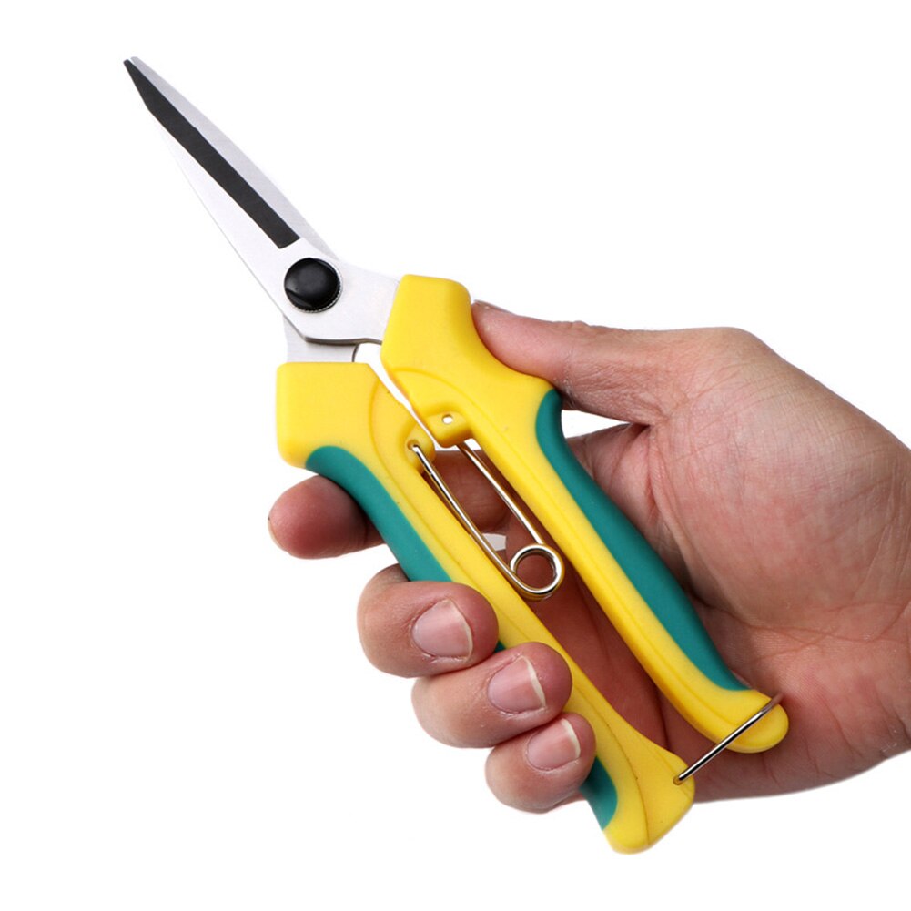 Bonsaï outil bouche droite arbre fruitier ciseaux verger diluer fruits ciseaux outil de jardinage LB88