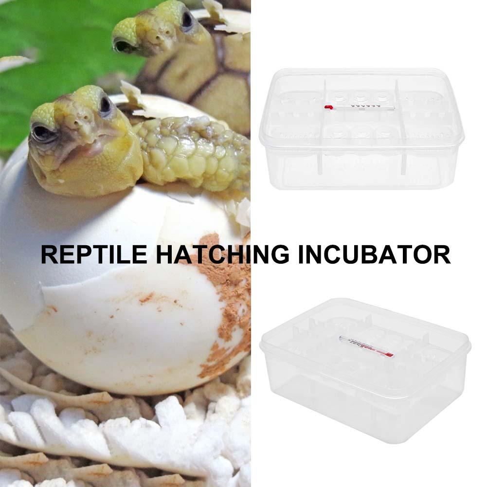 Plástico práctico 16 rejillas Reptiles de plástico bandeja para incubar huevos serpiente, lagarto huevos caja de incubadora herramienta de incubación terrarios