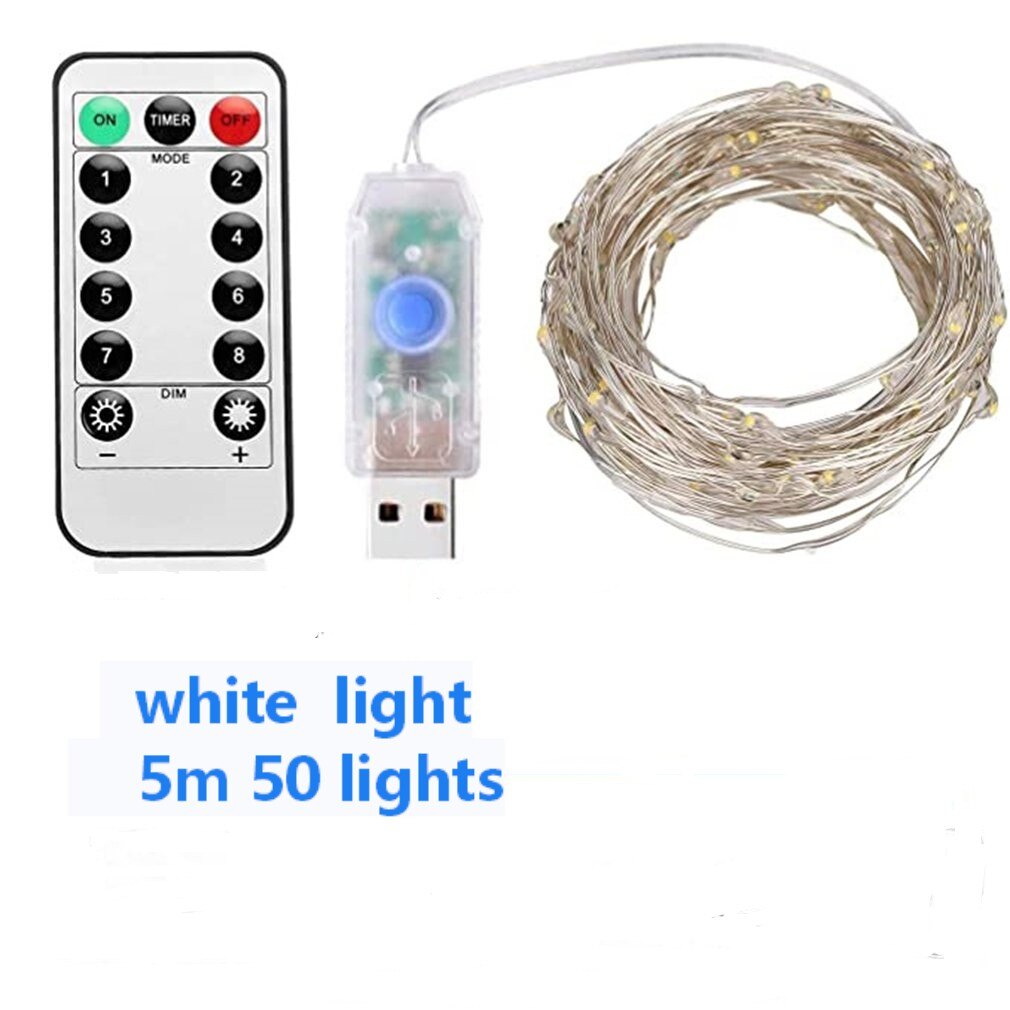 USB LED String Light Remote Control 5M/10M 50/100LED Fairy String Light 20M Copper Wire for Wedding Christmas Decor lamp: 4