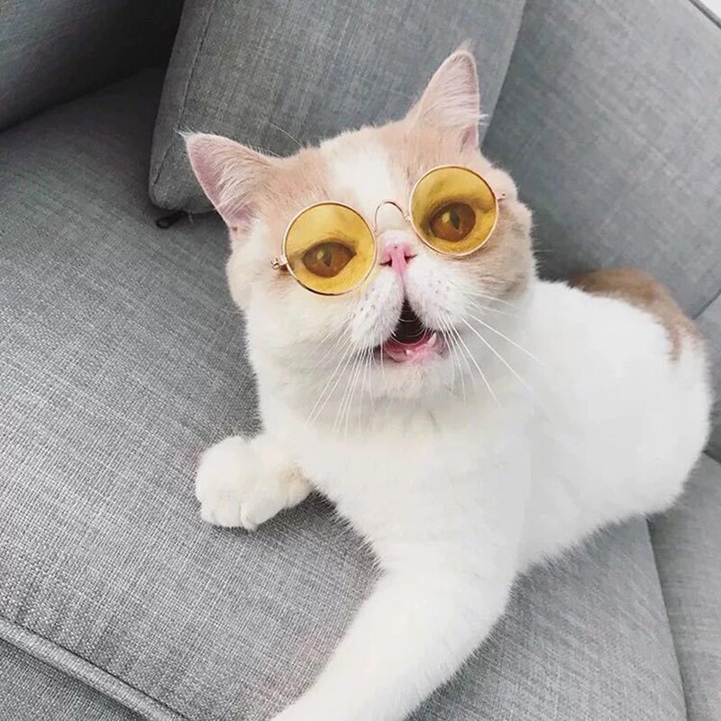 Gafas de sol con de ojo de gato para perros pequeños, lentes de sol para mascotas, accesorios para fotos, 2 uds./Set