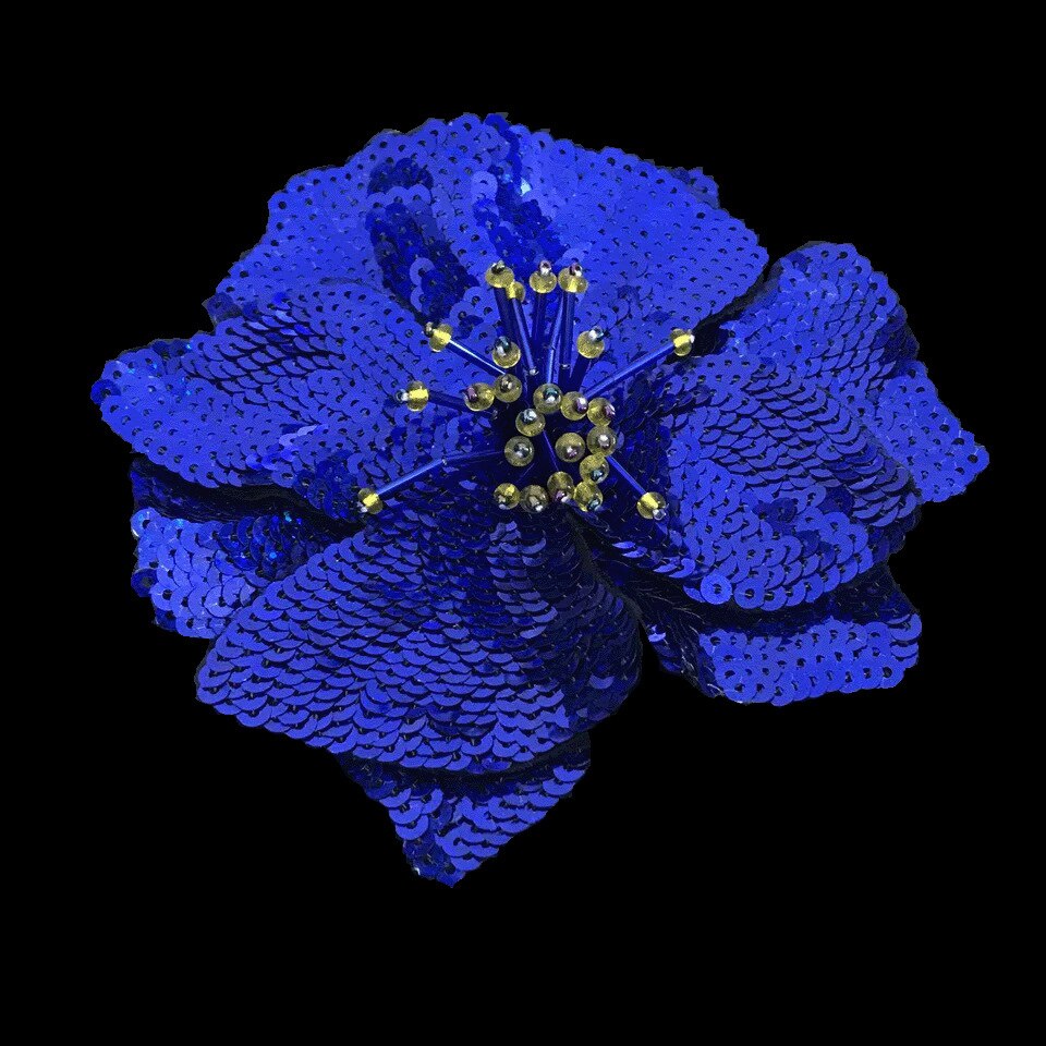 Fatto a mano chiodo perline, paillettes, fiori ricamati, vestiti, cappelli, decorazioni, accessori FAI DA TE, grandi macchie, fori e decalcomanie: 1