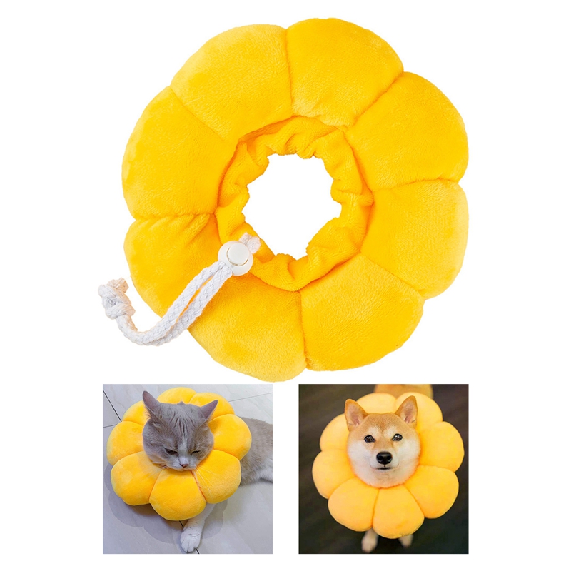 Huisdier Beschermende Kraag Voorkomt Krassen En Likken Verstelbare Pet Herstel Kraag Niet Blok Vision Kraag