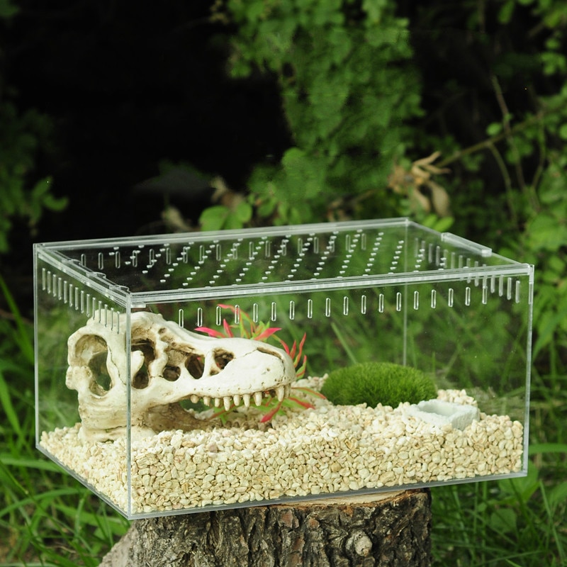 1PCS 4 Size Acrylic Reptile Feeding Box Insect Box Praying Mantis Reptile Home Insect Cage Reptile Terrariums