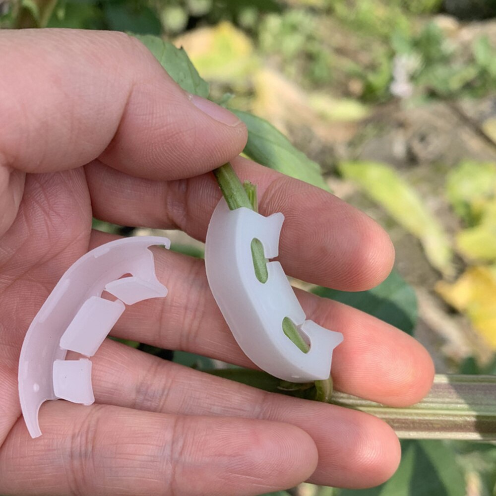 100 Pcs Plant Bender Plastic Tomato Holder Tomato Reinforcing Clips Branches Bender Bending Clips Low Stress Training Clips