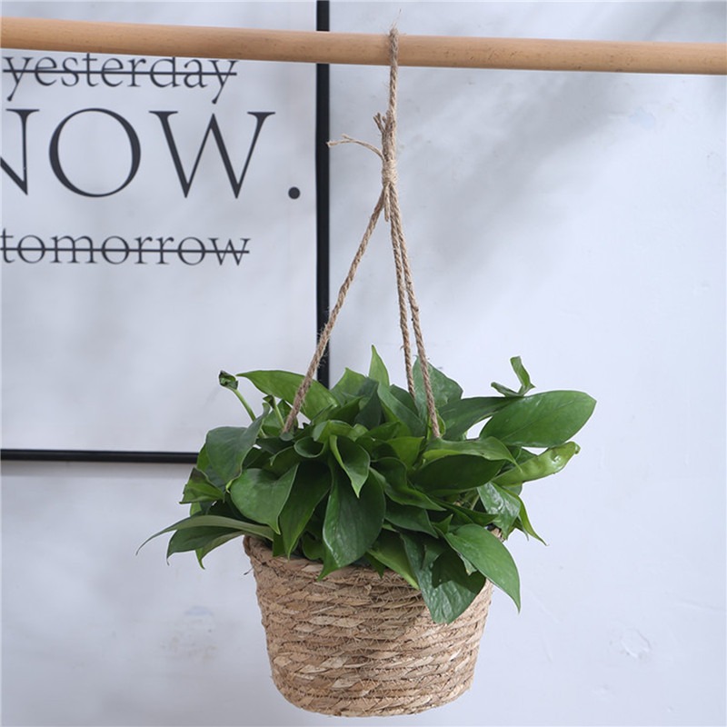Macetero colgante de macramé para jardín, cesta de almacenamiento de plantas, cuerda de yute tejida para interior y exterior, soporte para maceta de flores, colgadores de plantas, decoración del hogar