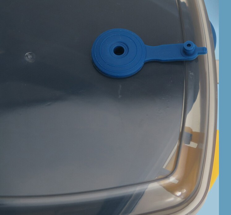 Bento Salad Lunch Container To Go, 1200ml Salad Bowls with Compartments, Salad Dressings Container for Salad Toppings, Snacks