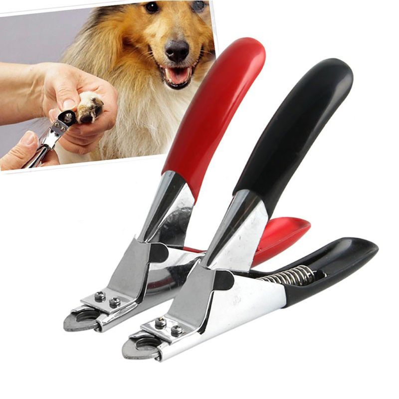 Kit de lima de uñas para perros y gatos y pájaros, tijeras para cortar los dedos de los pies, tijeras, cortador, herramienta de aseo para cortar las uñas de las mascotas, garras