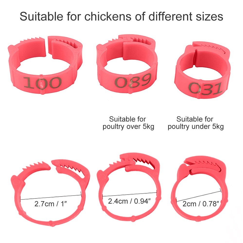 100PCS Chicken Leg Bands Chicken Poultry Rings 4 Colors Pigeon Geese Quail Bird Ring Carry tools Feeding Logo Poultry Ring Bird