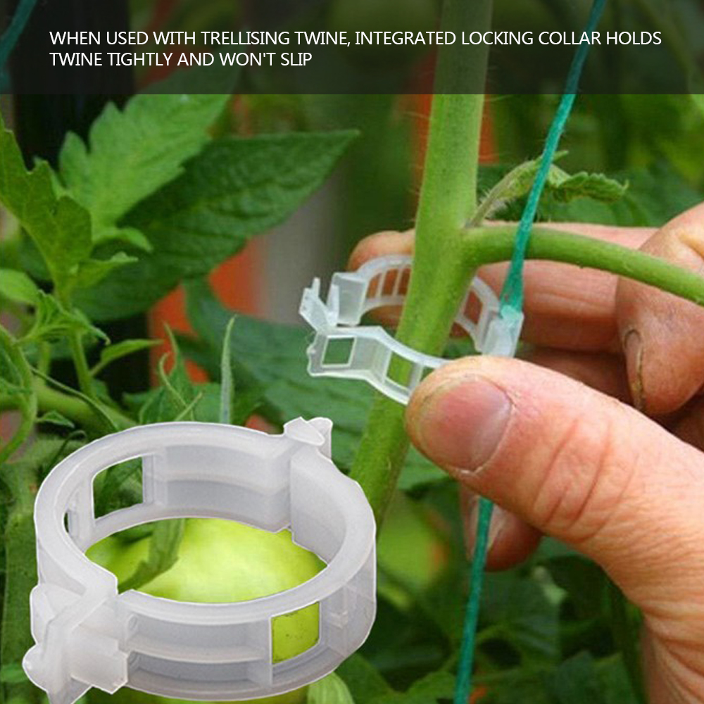 50pcs Reusable Plastic Plant Support Clips Clamps For Plants Hanging Vine Garden Greenhouse Vegetables Tomatoes Clips