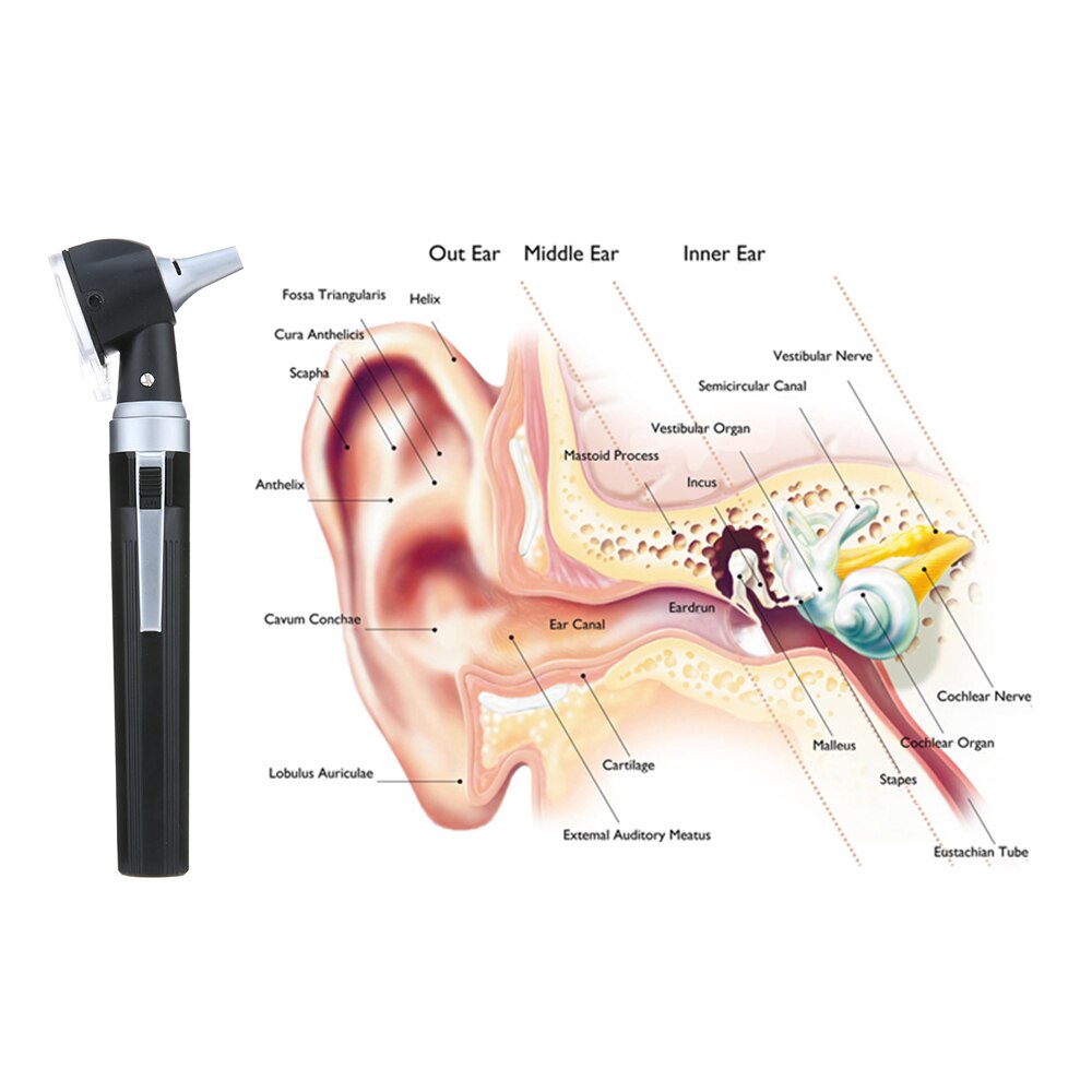 Carevas – Otoscope en Fiber optique à LED 3X, vue réelle, spectre complet, médecin à domicile, soins des oreilles, ensemble de Diagnostic avec 8 conseils pour adultes et enfants