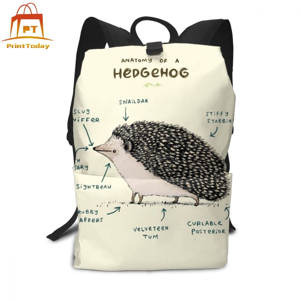 Hedgehog Backpack Hedgehog Backpacks School Bag Men - Women Pattern Trending Student Bags