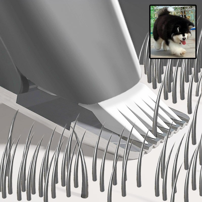 Genopladelig kattehund fodhårtrimmer usb kæledyrplejeværktøj mini elektrisk hårklipper barbering trimning maskine indbygget batt