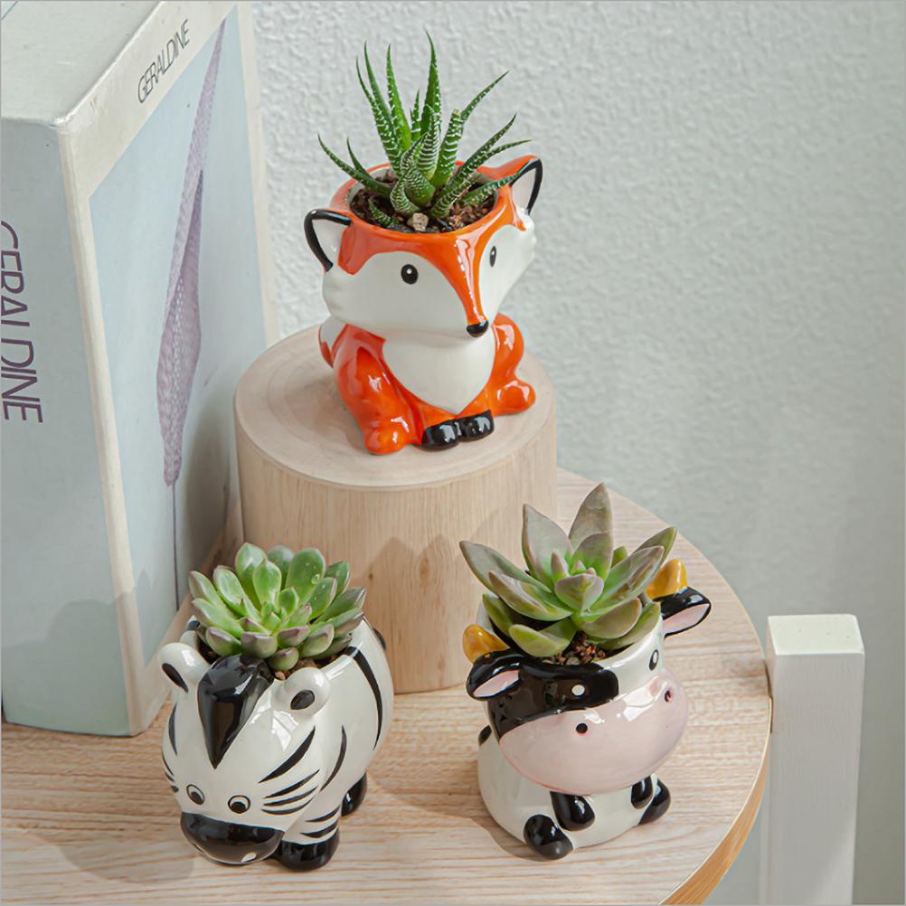 Maceta de flores suculentas de animales de dibujos animados, plantas de jardinería, adorno de cerámica en maceta, Mini maceta de Cactus bonsái, artesanía de decoración del hogar