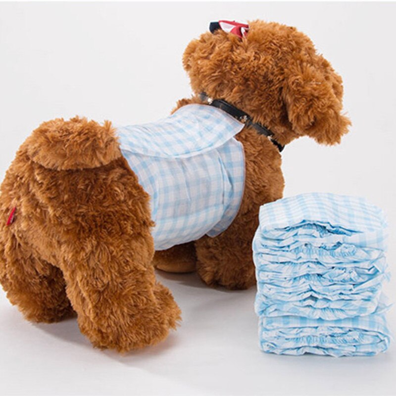 Couches jetables pour chiens de compagnie | 20 pièces, pantalons menstruels physiologiques pour chiens féminins, langes pour grands chiens masculins: Male / S
