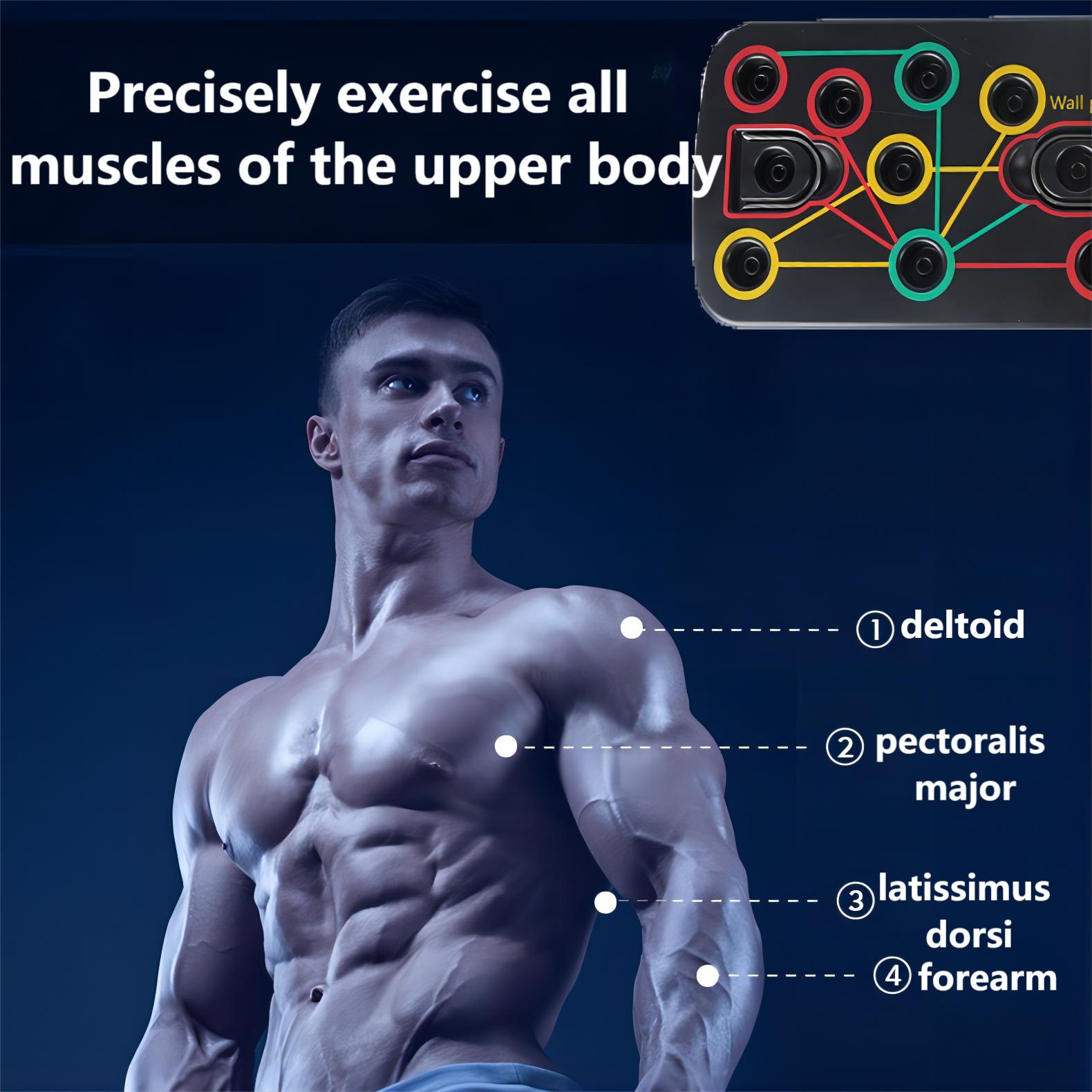 Multi-Function Push Up Board System W/ Pull Rope Foldable Push Up Rack for Home Gym Fitness Muscle Core Strength Training Stand