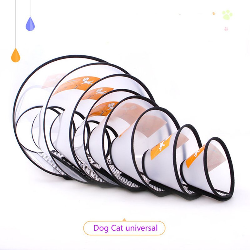 Selskabsdyr produkter hund cap tilbehør bid ring solid skønhed cirkel yorkshire krave lille og stor hund katte krave plast tilbehør
