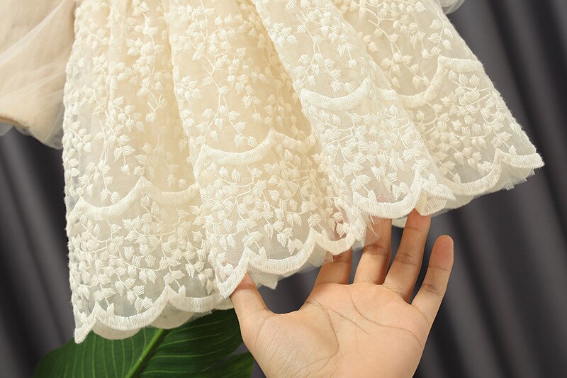 Autumn Baby Girl's Sweet Lace Dress Long Sleeve for Children Fairy Puff Sleeve Princess Dress Kids